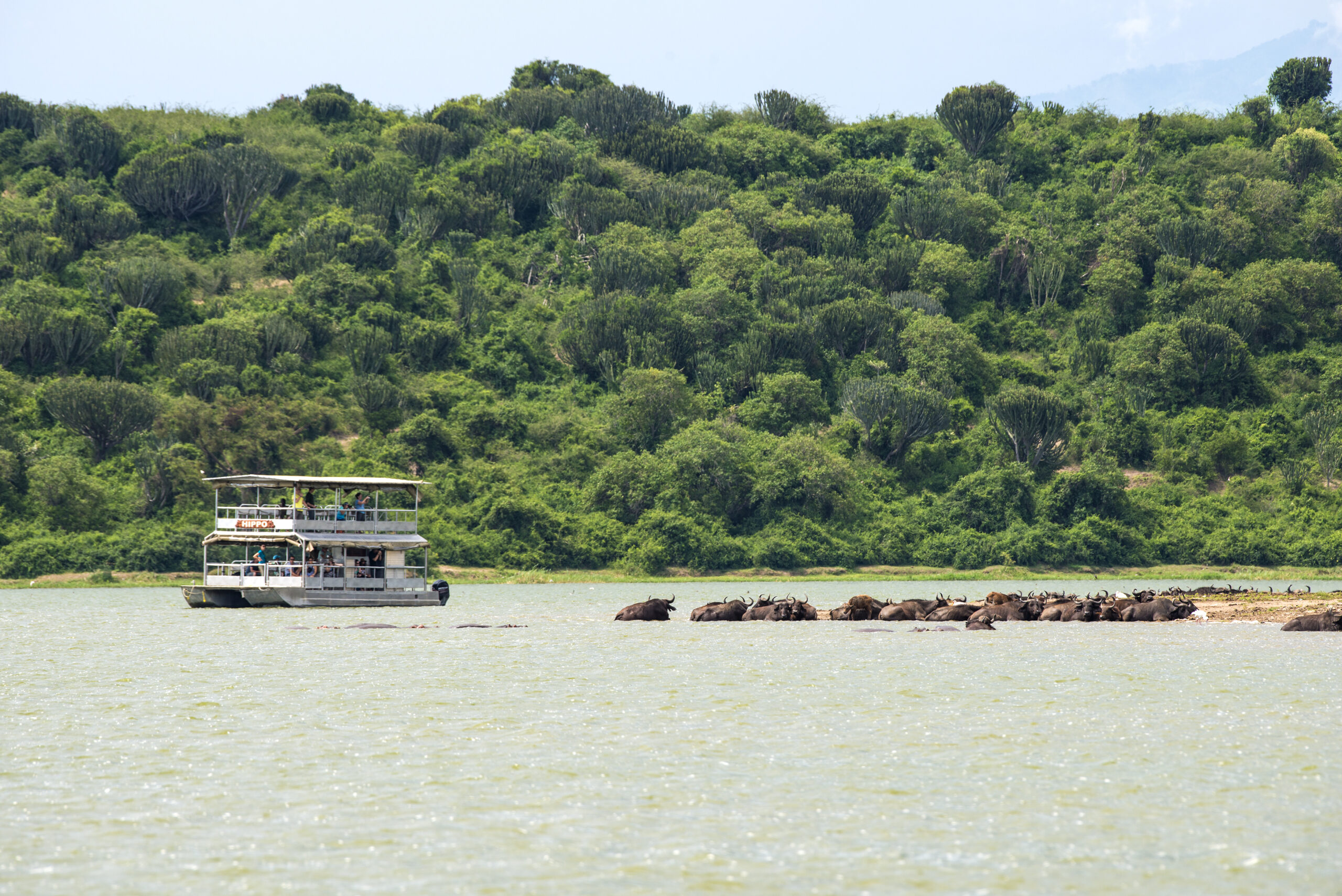 Boat Trips