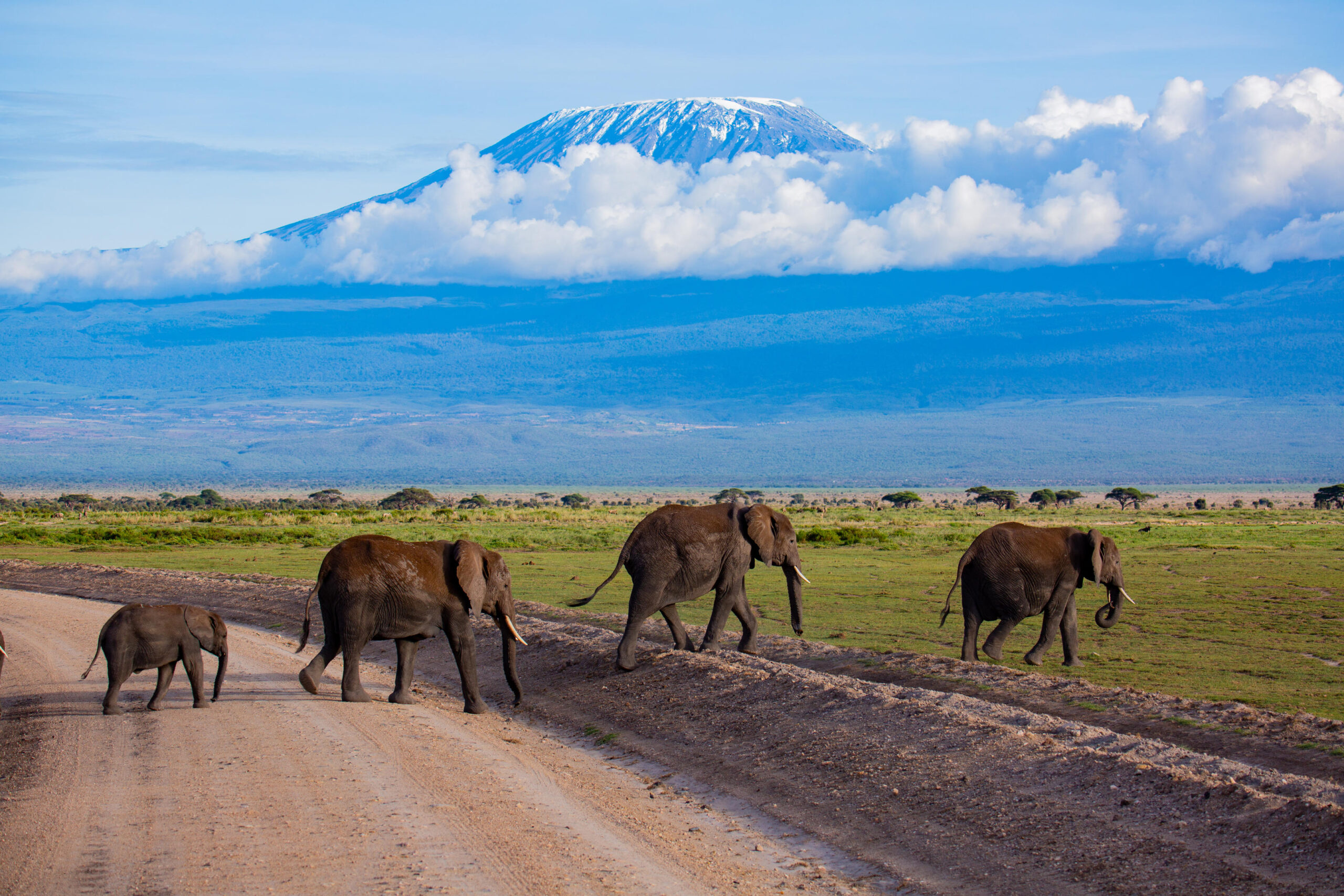 Mount Kilimanjaro