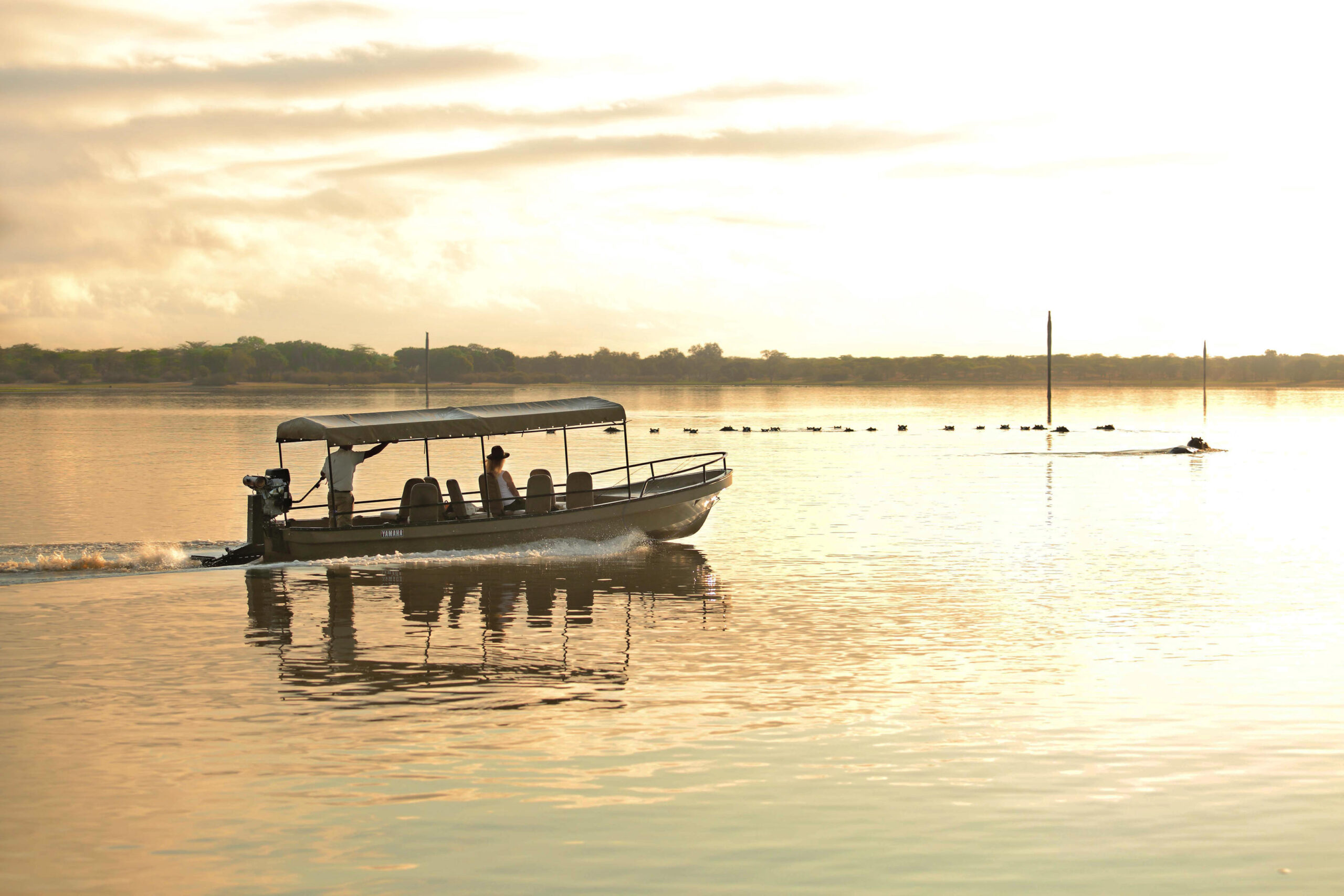Boat Trips