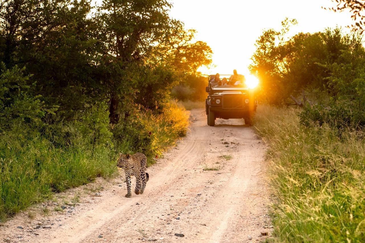 Game Drives